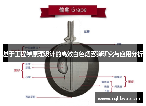 基于工程学原理设计的高效白色烟雾弹研究与应用分析